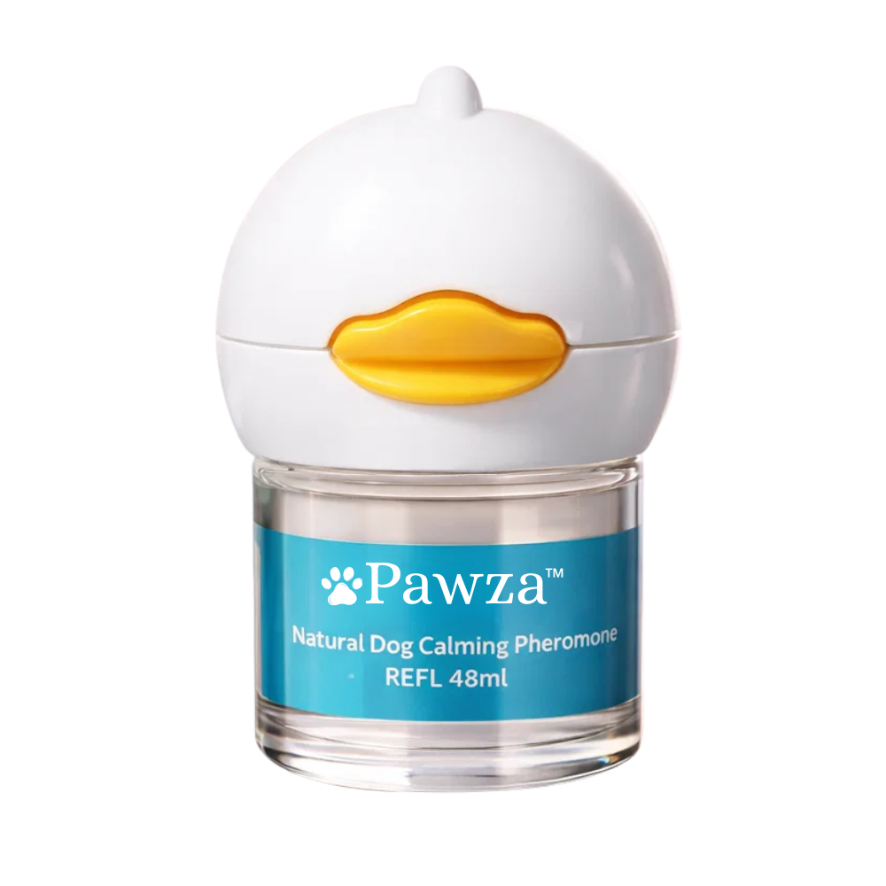 ™Pawza