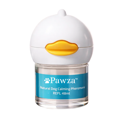 ™Pawza